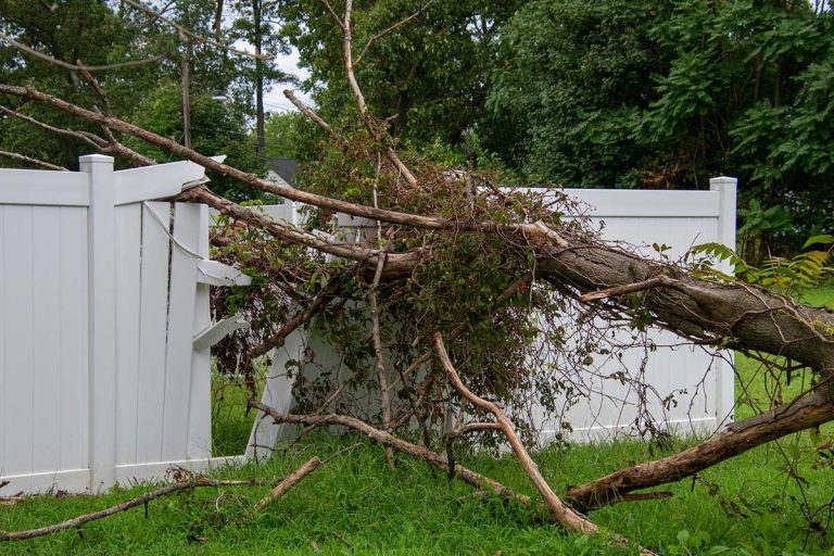 tree falling on fences causing damage